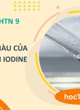 Phản ứng màu của tinh bột với Iodine - KHTN 9  -  Hoc10